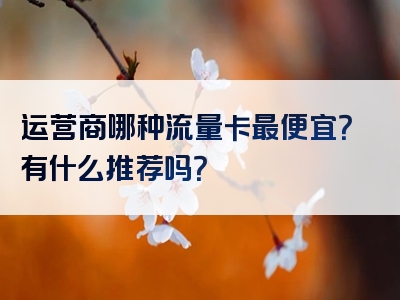 运营商哪种流量卡最便宜？有什么推荐吗？