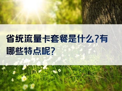 省统流量卡套餐是什么？有哪些特点呢？