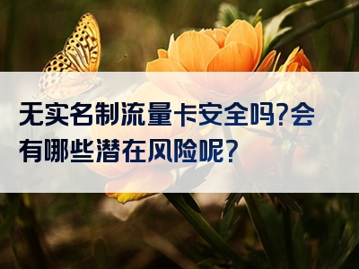 无实名制流量卡安全吗？会有哪些潜在风险呢？