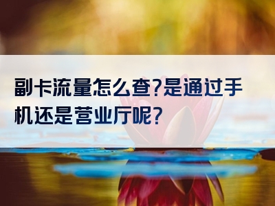 副卡流量怎么查？是通过手机还是营业厅呢？