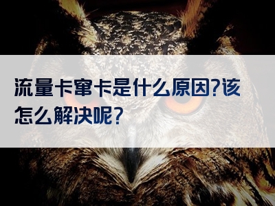 流量卡窜卡是什么原因？该怎么解决呢？