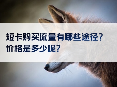 短卡购买流量有哪些途径？价格是多少呢？