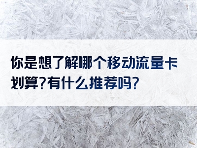 你是想了解哪个移动流量卡划算？有什么推荐吗？