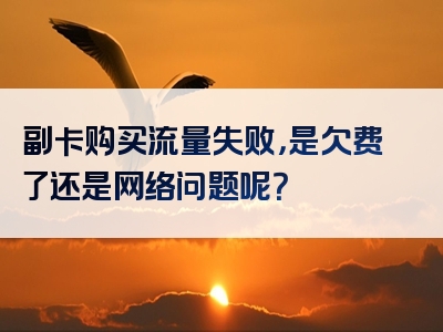 副卡购买流量失败，是欠费了还是网络问题呢？