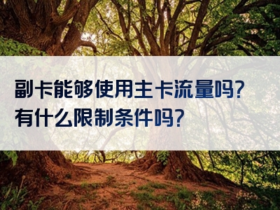 副卡能够使用主卡流量吗？有什么限制条件吗？