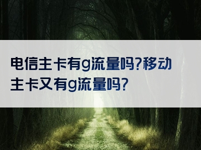 电信主卡有g流量吗？移动主卡又有g流量吗？