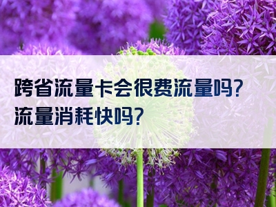 跨省流量卡会很费流量吗？流量消耗快吗？