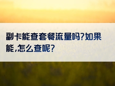 副卡能查套餐流量吗？如果能，怎么查呢？