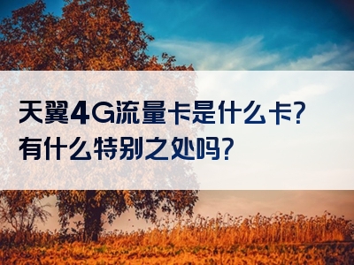 天翼4G流量卡是什么卡？有什么特别之处吗？