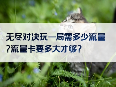 无尽对决玩一局需多少流量？流量卡要多大才够？