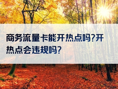 商务流量卡能开热点吗？开热点会违规吗？