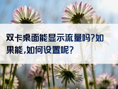 双卡桌面能显示流量吗？如果能，如何设置呢？