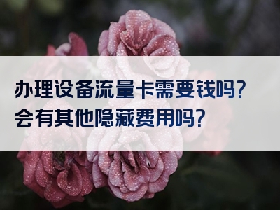 办理设备流量卡需要钱吗？会有其他隐藏费用吗？