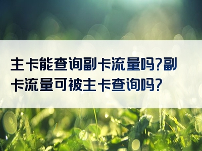 主卡能查询副卡流量吗？副卡流量可被主卡查询吗？