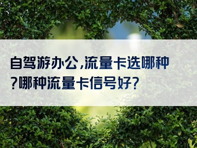自驾游办公，流量卡选哪种？哪种流量卡信号好？
