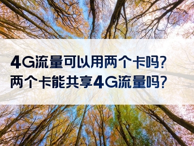 4G流量可以用两个卡吗？两个卡能共享4G流量吗？