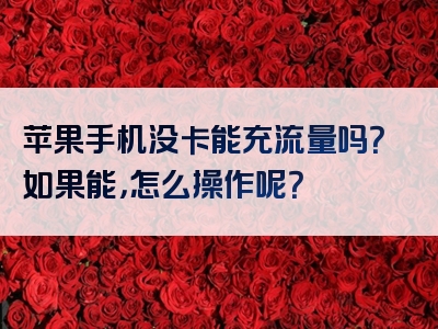 苹果手机没卡能充流量吗？如果能，怎么操作呢？