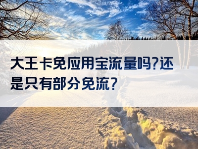 大王卡免应用宝流量吗？还是只有部分免流？