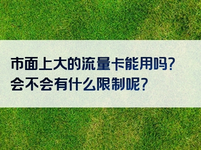 市面上大的流量卡能用吗？会不会有什么限制呢？
