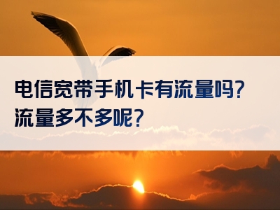 电信宽带手机卡有流量吗？流量多不多呢？