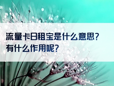 流量卡日租宝是什么意思？有什么作用呢？