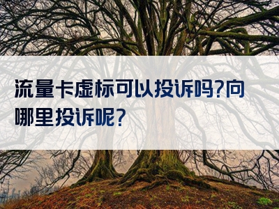 流量卡虚标可以投诉吗？向哪里投诉呢？
