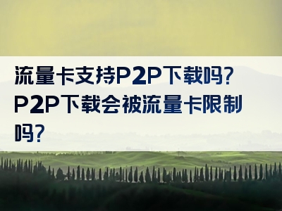 流量卡支持P2P下载吗？P2P下载会被流量卡限制吗？