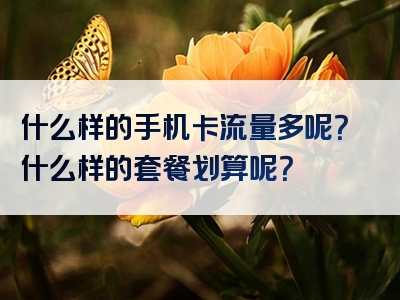 什么样的手机卡流量多呢？什么样的套餐划算呢？