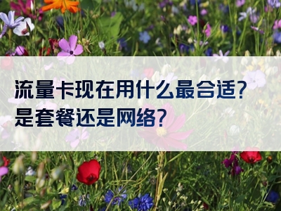 流量卡现在用什么最合适？是套餐还是网络？