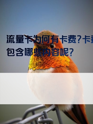流量卡为何有卡费？卡费又包含哪些内容呢？