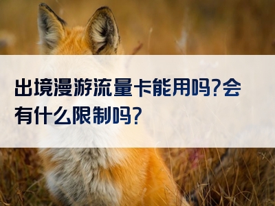 出境漫游流量卡能用吗？会有什么限制吗？