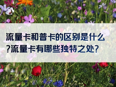 流量卡和普卡的区别是什么？流量卡有哪些独特之处？