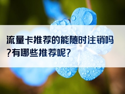 流量卡推荐的能随时注销吗？有哪些推荐呢？
