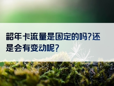韶年卡流量是固定的吗？还是会有变动呢？
