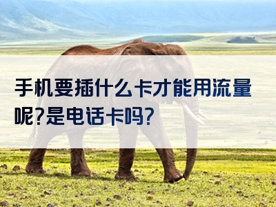 手机要插什么卡才能用流量呢？是电话卡吗？