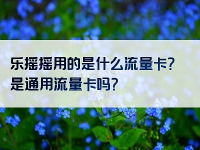乐摇摇用的是什么流量卡？是通用流量卡吗？