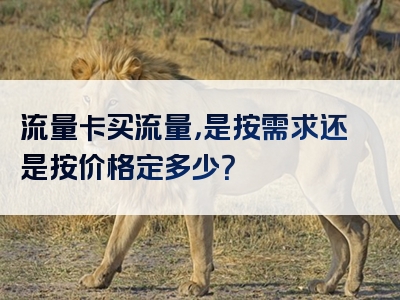 流量卡买流量，是按需求还是按价格定多少？