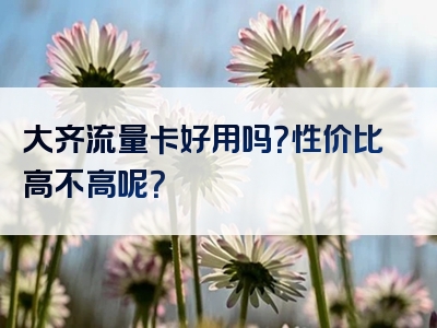 大齐流量卡好用吗？性价比高不高呢？
