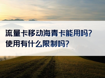 流量卡移动海青卡能用吗？使用有什么限制吗？
