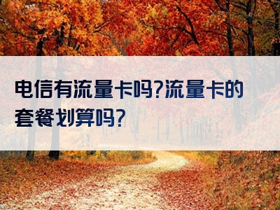 电信有流量卡吗？流量卡的套餐划算吗？