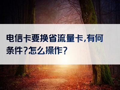 电信卡要换省流量卡，有何条件？怎么操作？
