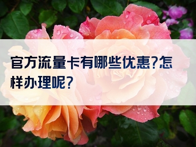 官方流量卡有哪些优惠？怎样办理呢？