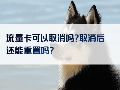 流量卡可以取消吗？取消后还能重置吗？