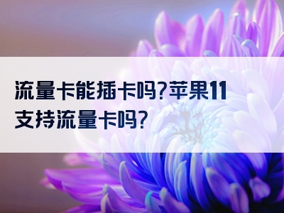 流量卡能插卡吗？苹果11支持流量卡吗？