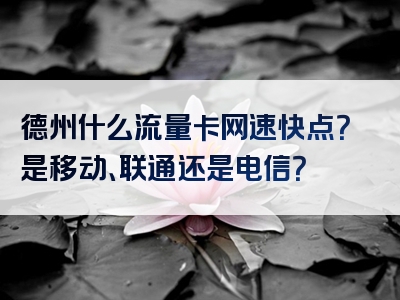 德州什么流量卡网速快点？是移动、联通还是电信？