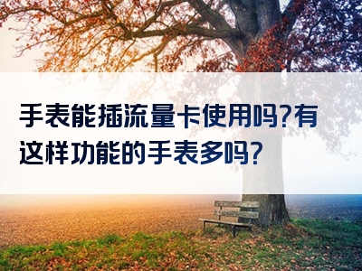 手表能插流量卡使用吗？有这样功能的手表多吗？