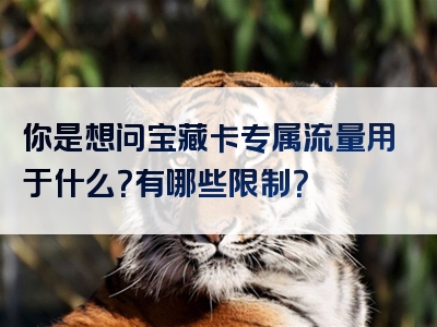 你是想问宝藏卡专属流量用于什么？有哪些限制？