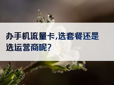 办手机流量卡，选套餐还是选运营商呢？