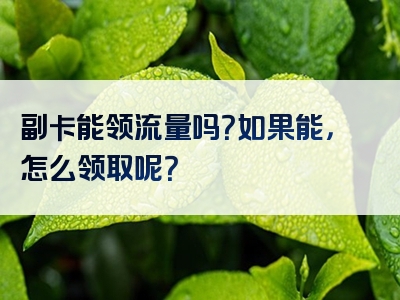 副卡能领流量吗？如果能，怎么领取呢？