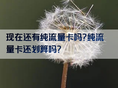 现在还有纯流量卡吗？纯流量卡还划算吗？